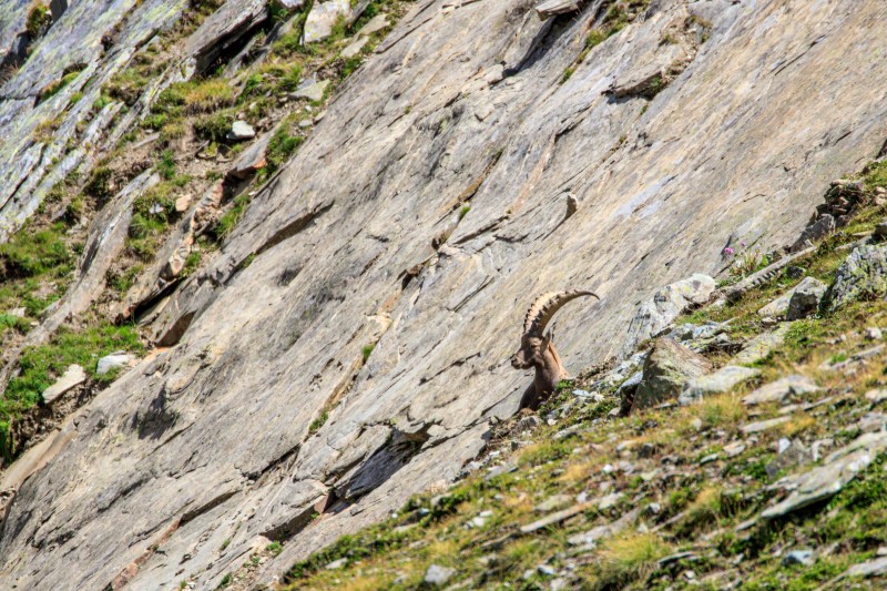 Parco Nazionale Gran Paradiso