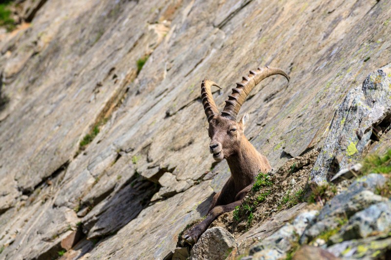 Parco Nazionale Gran Paradiso