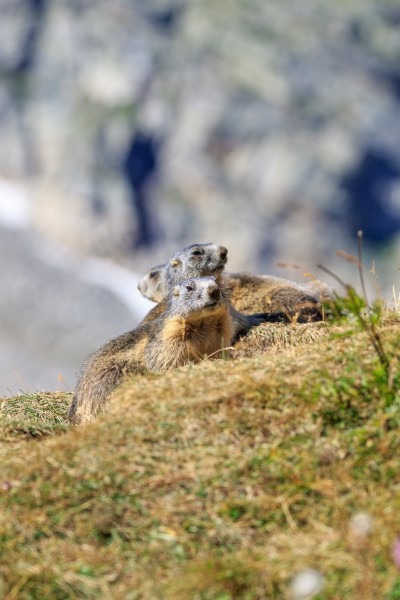 Parco Nazionale Gran Paradiso