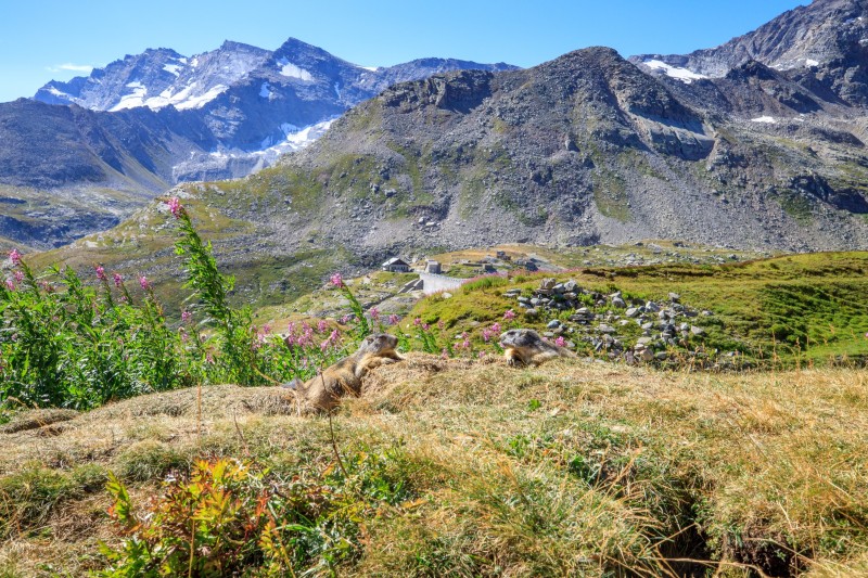 Parco Nazionale Gran Paradiso