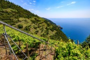 Manarola