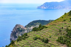 Corniglia