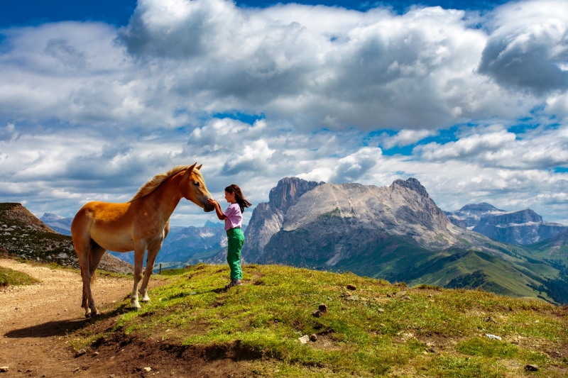 Stelvio e Siusi