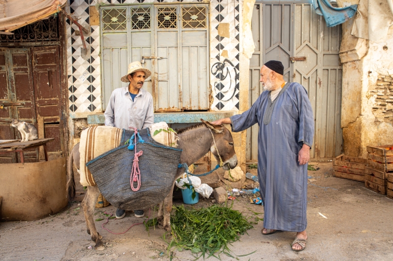 Marocco