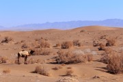 Iran - Dasht-e Kavir desert