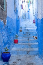 Marocco - Chefchaouen