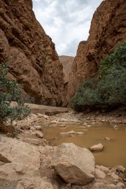 Marocco - Gole di Dades