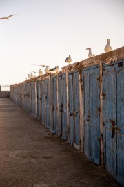 Marocco - Essaouira