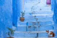 Marocco - Chefchaouen