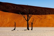 Deadvlei