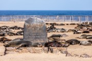 Cape Cross