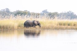 Botswana