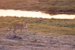 Botswana